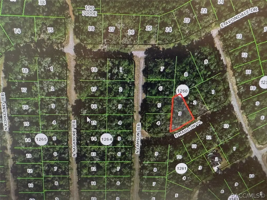 431 E Marlow Place, Dunnellon, FL 34434 - #1