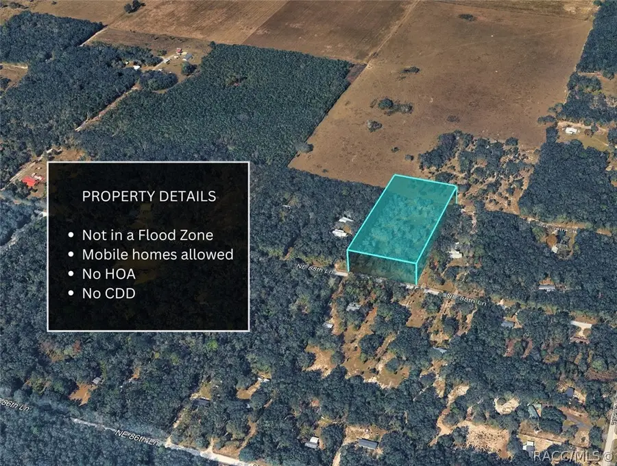TBD 88th Street, Bronson, FL 32621 - #3