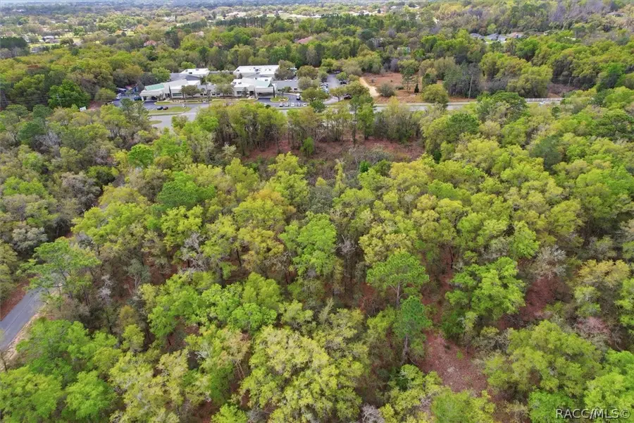 161 W Norvell Bryant Highway, Hernando, FL 34442 - #2