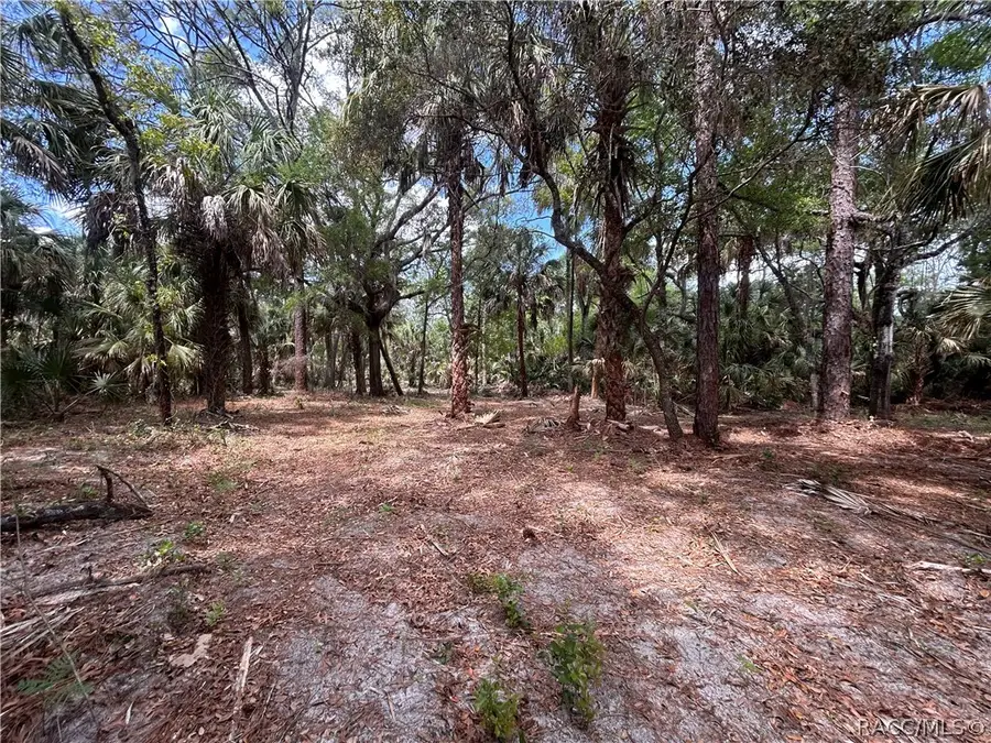 7544 N Bitterroot Drive, Crystal River, FL 34428 - #3