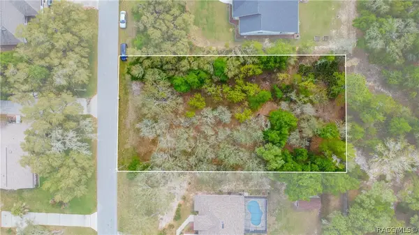 2196 E Celina Street, Inverness, FL 34453