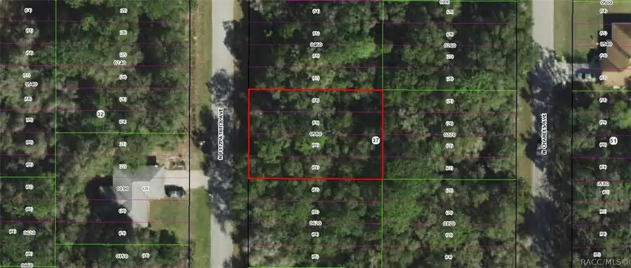 305 N Fitzpatrick Avenue, Inverness, FL 34453 - #2