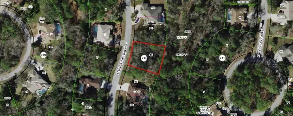11 Livingstone Daisy Court, Homosassa, FL 34446