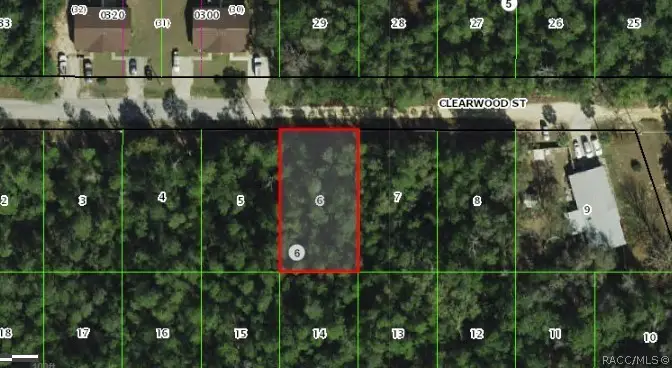 2907 Clearwood Street, Inverness, FL 34452 - #1