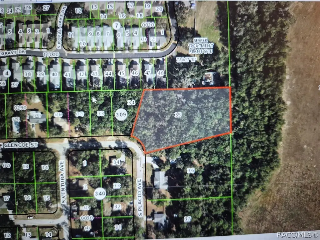 6831 E Glencoe Street, Inverness, FL 34452 - #1