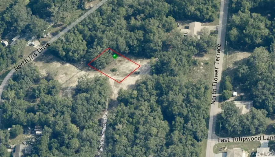 6482 N Bluebonnet Drive, Hernando, FL 34442 - #2