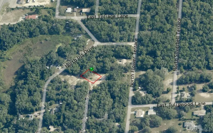 6482 N Bluebonnet Drive, Hernando, FL 34442 - #3