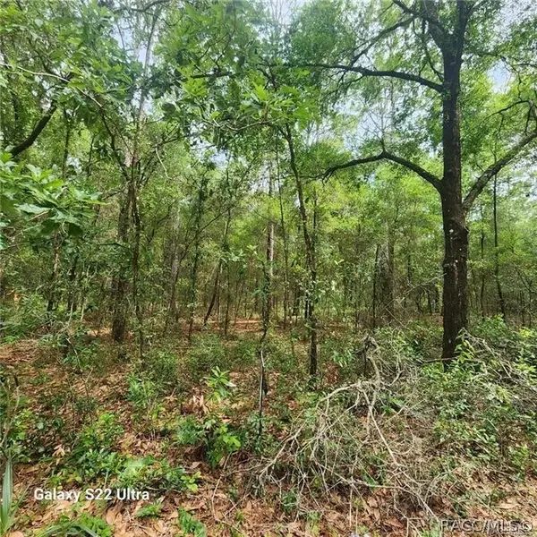 3172 E Kay Lane, Inverness, FL 34453