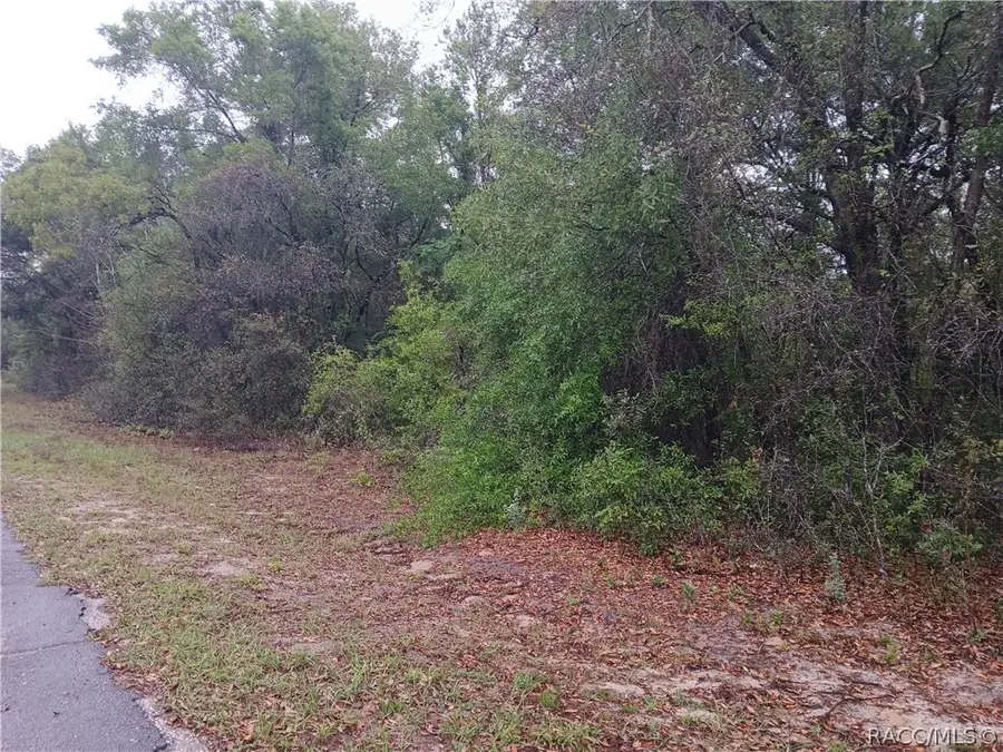 7851 N Vince Drive, Dunnellon, FL 34434 - #2