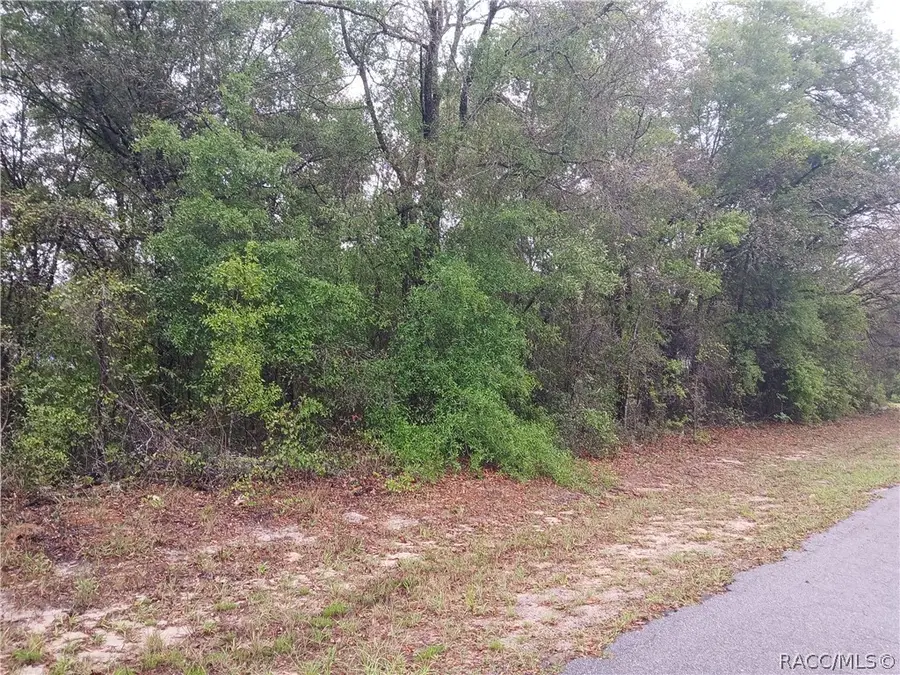 7851 N Vince Drive, Dunnellon, FL 34434 - #3