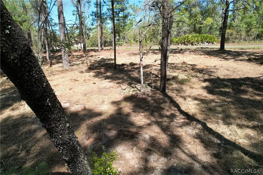 3616 W Fountain Lane, Citrus Springs, FL 34433 - #3