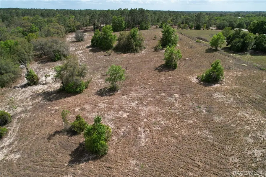 3802 W Woodlawn Street, Dunnellon, FL 34433 - #2