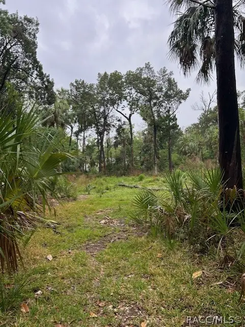 11070 W Bareto Lane, Homosassa, FL 34448 - #3