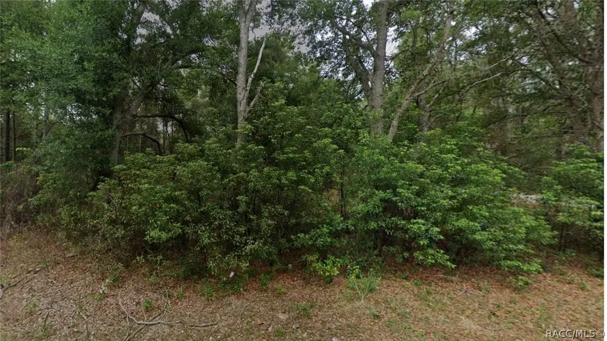 8547 N Fauci Point, Crystal River, FL 34428 - #1