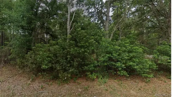 8547 N Fauci Point, Crystal River, FL 34428