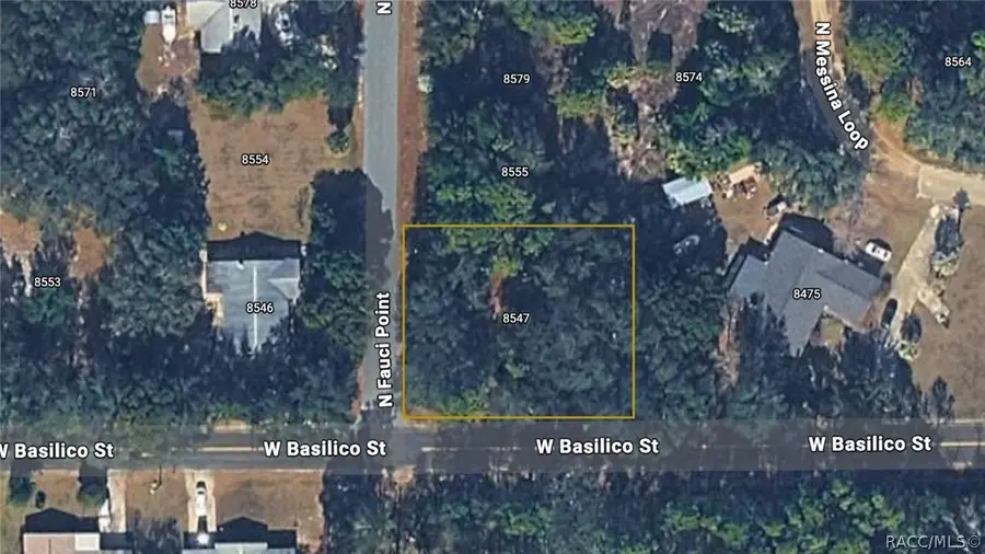 8547 N Fauci Point, Crystal River, FL 34428 - #2