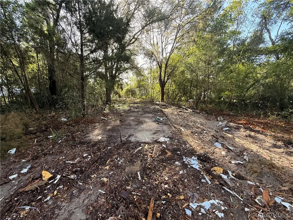 6765 N Carl G Rose Highway, Hernando, FL 34442 - #1