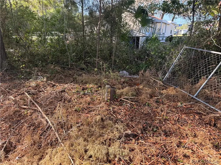 6765 N Carl G Rose Highway, Hernando, FL 34442 - #2