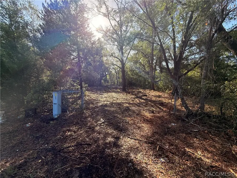 6765 N Carl G Rose Highway, Hernando, FL 34442 - #3