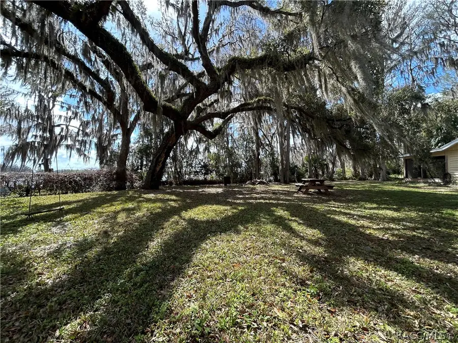 8968 E Devilsneck Road, Floral City, FL 34436 - #3