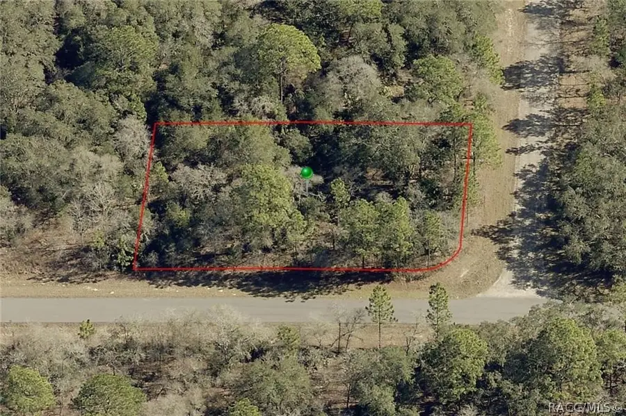 6397 N Whispering Drive, Dunnellon, FL 34434 - #2
