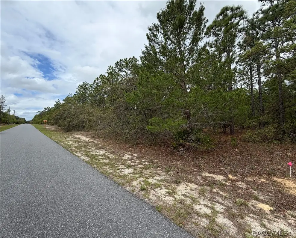 4231 W Bonanza Drive, Beverly Hills, FL 34465 - #1