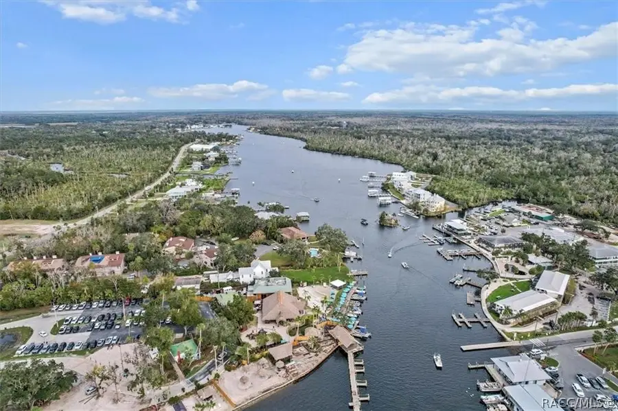 10460 W New York Street, Homosassa, FL 34448 - #3