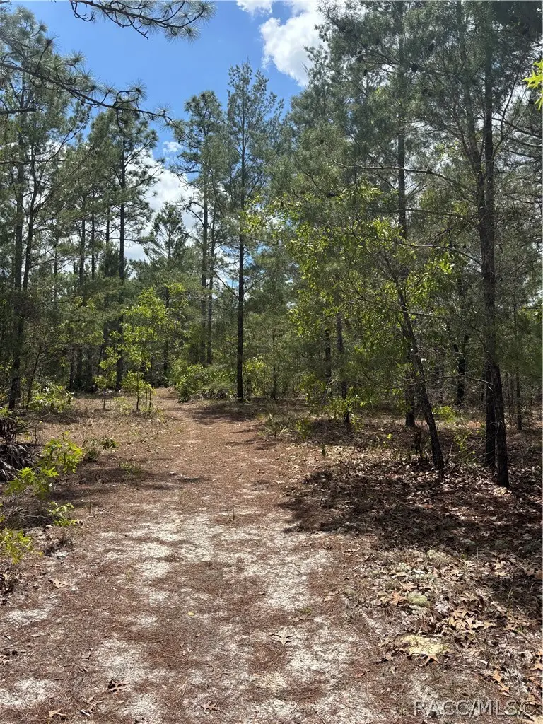 6520 N Redmond Court, Dunnellon, FL 34433 - #3