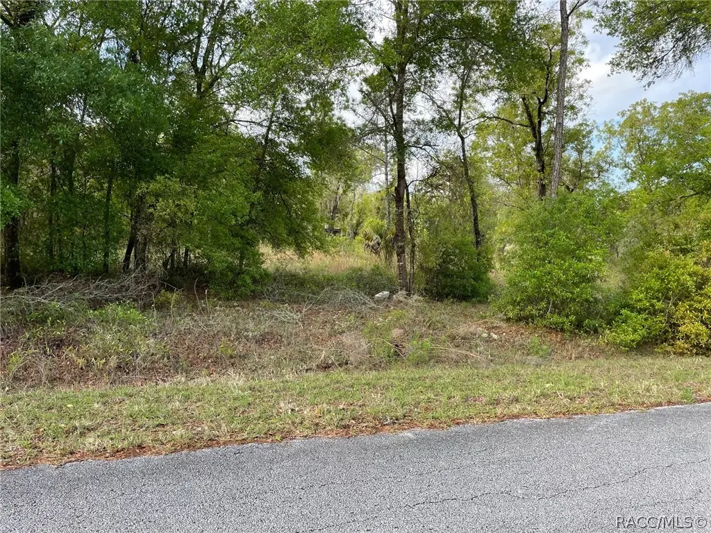 LOT 4 SW Lakeland Heights Avenue, Dunnellon, FL 34431 - #1