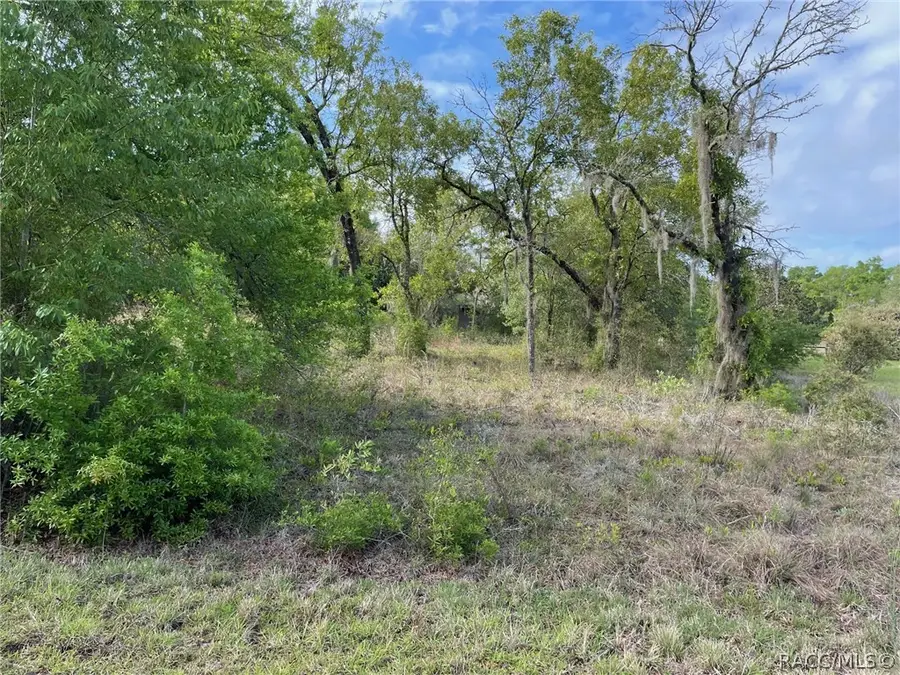 LOT 4 SW Lakeland Heights Avenue, Dunnellon, FL 34431 - #2