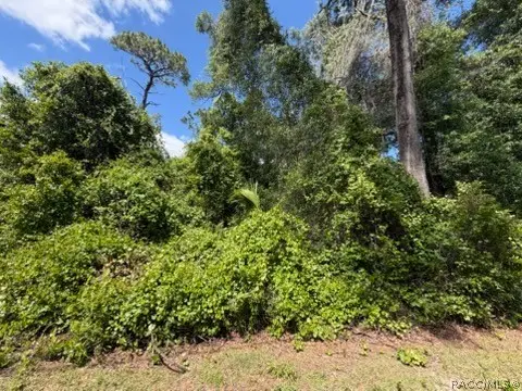 6475 E Seneca Street, Inverness, FL 34452 - #1