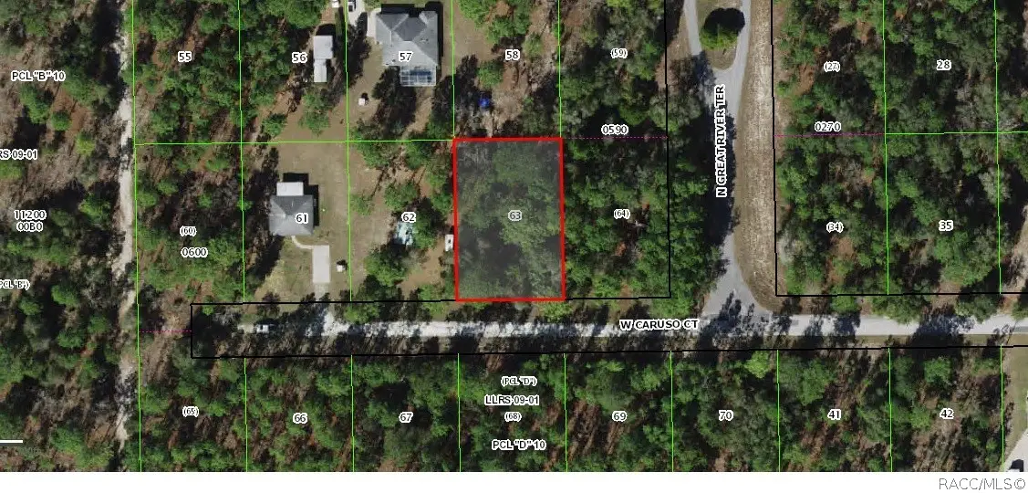 6185 W Caruso Court, Dunnellon, FL 34433 - #1