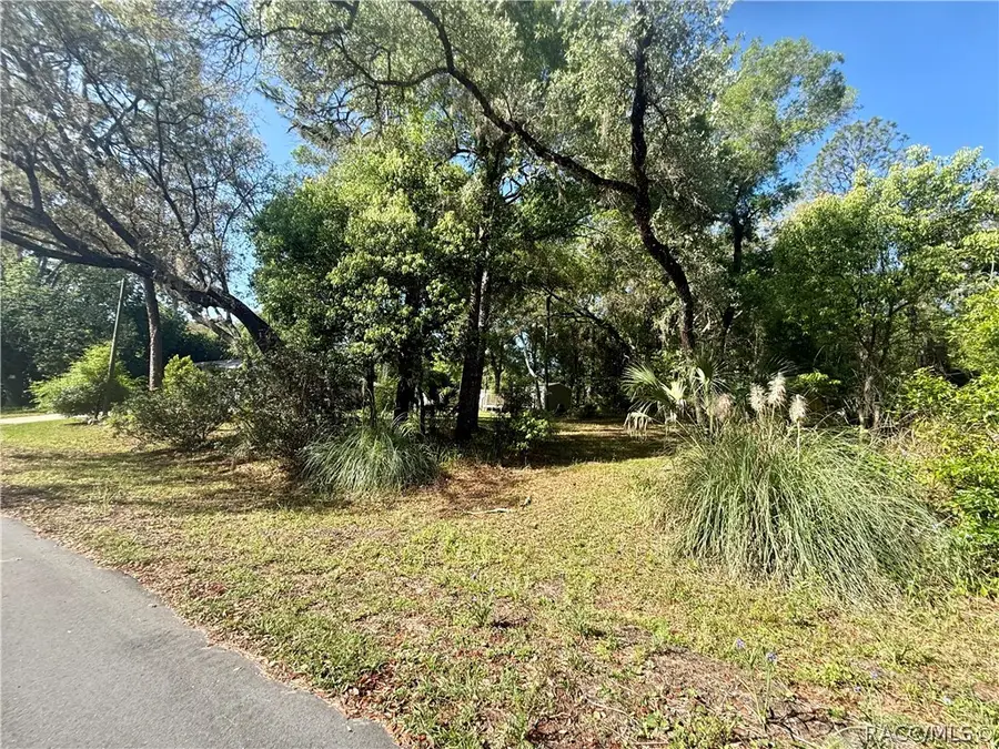 8470 N Sarazen Drive, Citrus Springs, FL 34434 - #2