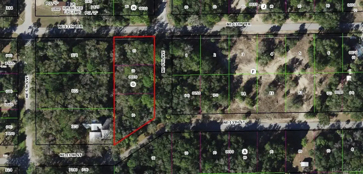 558 NE 13th Terrace, Crystal River, FL 34428 - #1