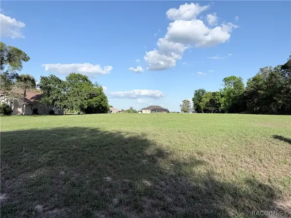 1471 N Man O War Drive, Hernando, FL 34442