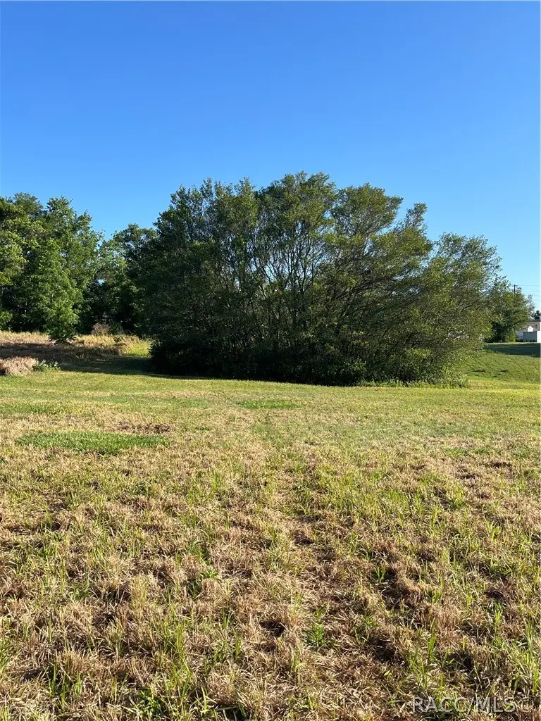 1237 W Buttonbush Drive, Beverly Hills, FL 34465 - #2