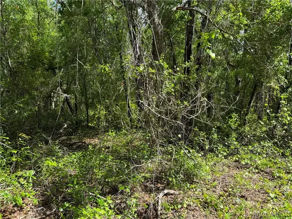 112 S Crestview Avenue, Inverness, FL 34452
