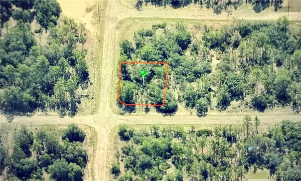 6679 N Northvale Terrace, Dunnellon, FL 34433
