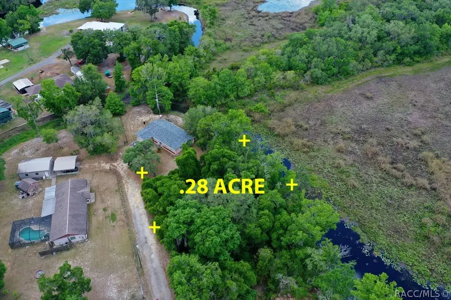 6979 E Grass Court, Inverness, FL 34453 - #3