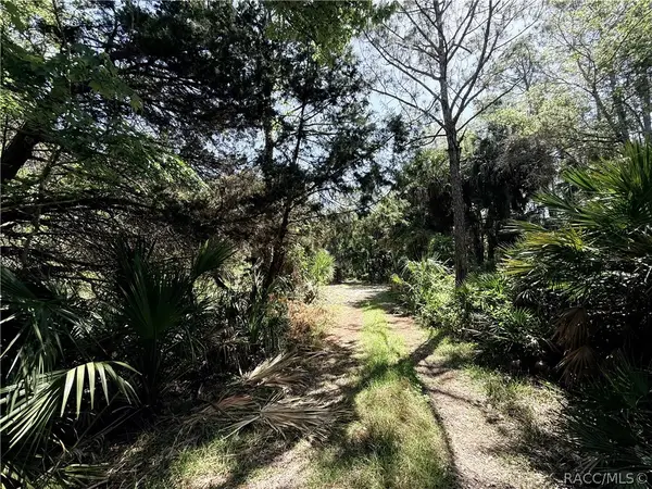 Lot 26 SE 193 Place, Other, FL 34498