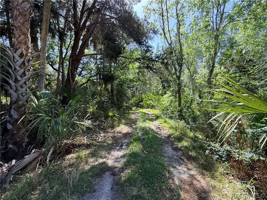Lot 26 SE 193 Place, Yankeetown, FL 34498 - #2
