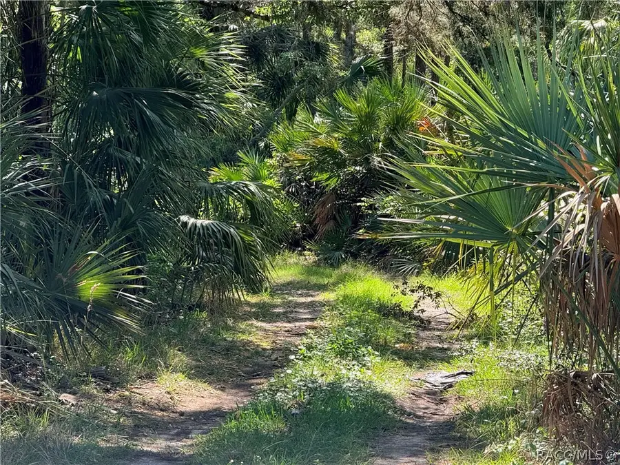 Lot 26 SE 193 Place, Yankeetown, FL 34498 - #3