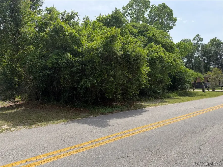 3638 E Delight Street, Hernando, FL 34442 - #2