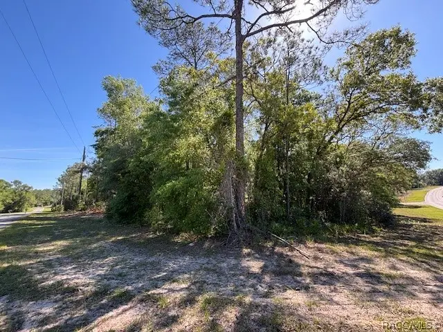 10251 N Adler Drive, Citrus Springs, FL 34434 - #1