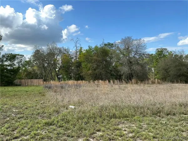 9166 N Akola Way, Citrus Springs, FL 34434