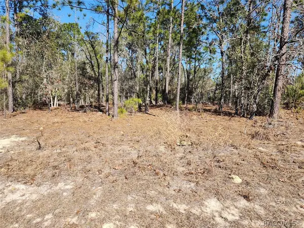 3753 W Lon Lane, Other, FL 34433