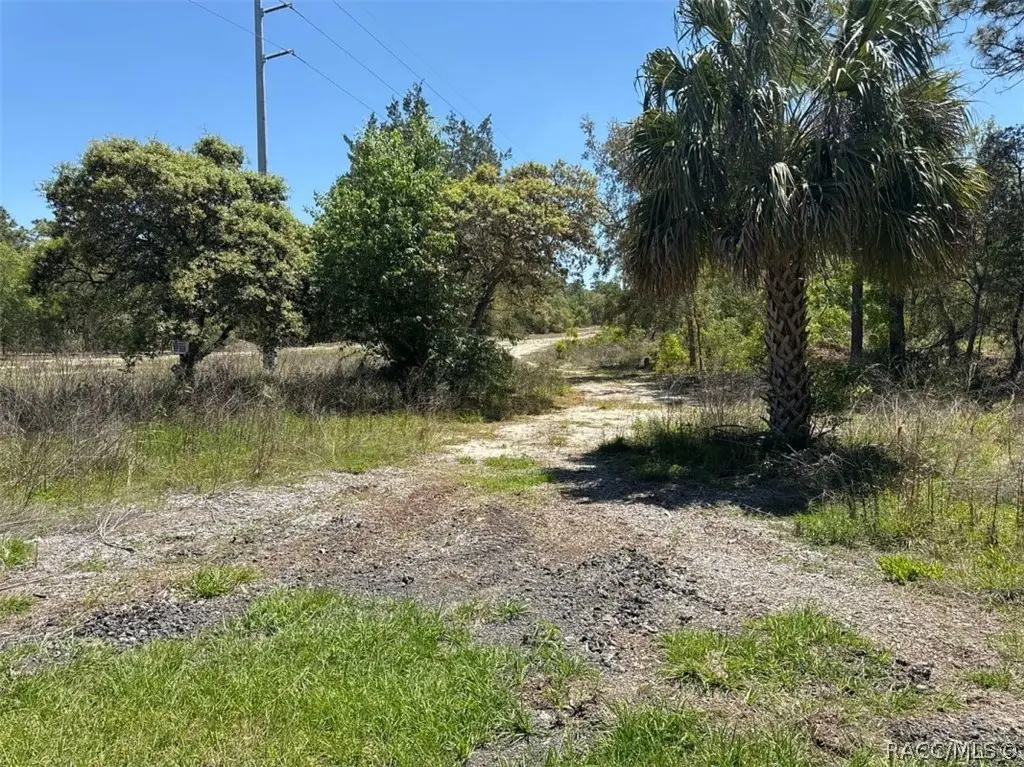 5032 W Field Street, Homosassa, FL 34446 - #1