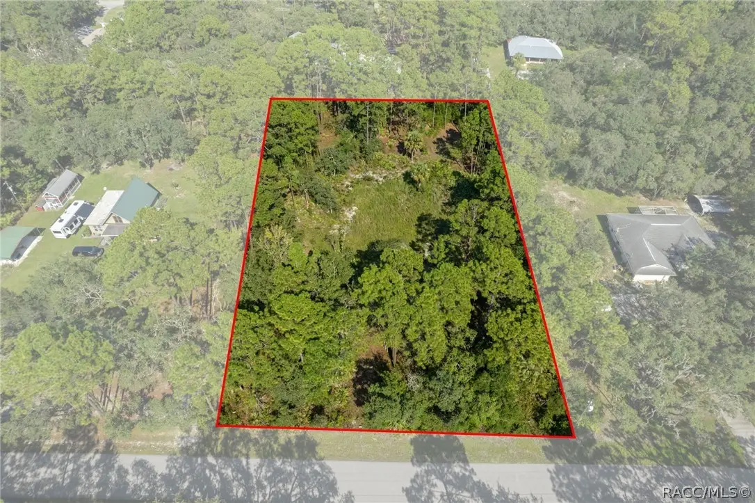 2733 S Bolton Avenue, Homosassa, FL 34448 - #1