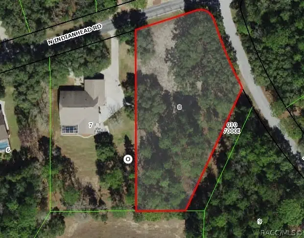 3817 N Indianhead Road, Hernando, FL 34442 - #1