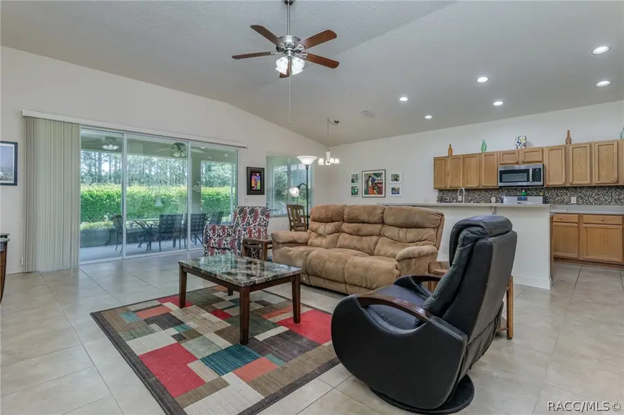1557 W Caroline Path, Lecanto, FL 34461 - #3